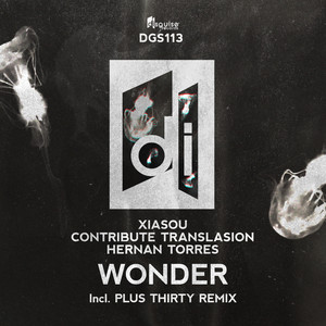 Wonder (Plus Thirty Remix)