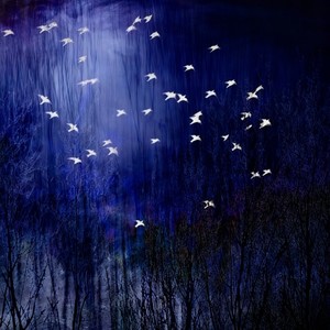 红色高跟鞋 (R&B版)