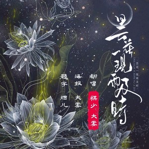 昙花一现雨及时