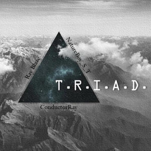 T.R.I.A.D.