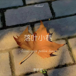 落叶小巷