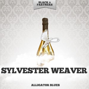 I m Busy And You Can t Come In