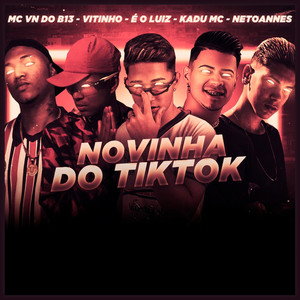 Novinha do Tiktok (Remix) [Explicit]