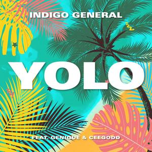 YOLO (feat. BeeGodd & Genique)