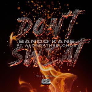 Dont Sweat (feat. AlondaTheBlonde) (Explicit)