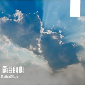 漂泊的心