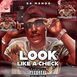 Look Like a Check (Explicit)