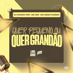Quer Pequeno Ou Quer Grandão (Explicit)