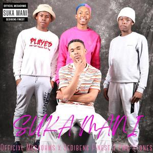 Suka Mani (feat. Sedibeng Finest,2Wo Stones & Hidden Bunnies) (feat. Sedibeng Finest, 2Wo Stones, Hidden Bunnies Djz & Quantum Sound)