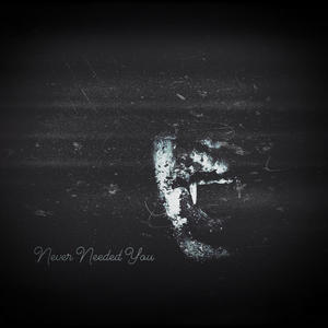 Never Needed You (feat. LaVampk) (Explicit)