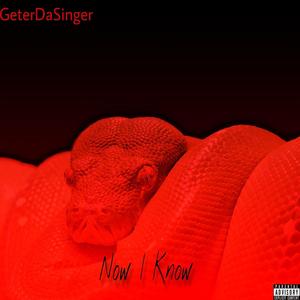 Now I Know (Explicit)