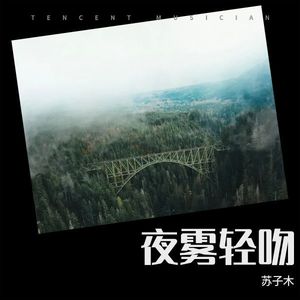 夜雾轻吻 (伴奏)封面