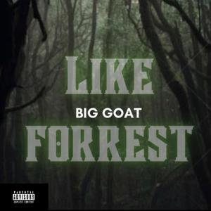 Like Forrest (Explicit)