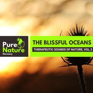 The Blissful Oceans - Therapeutic Sounds of Nature, Vol.3