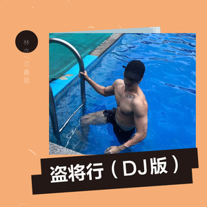 盗将行 (DJ版)