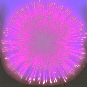 烟花 prod eric godlow