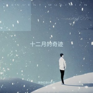 十二月的奇迹