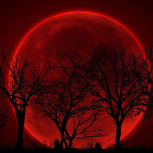 Hiçbirşey Yapasım Yok (feat. Şeker) (Explicit)