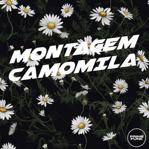MONTAGEM CAMOMILA (Explicit)