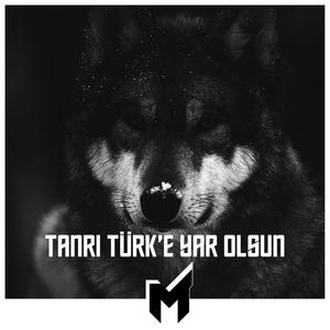 Tanrı Türk'e Yar Olsun