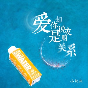 爱你却说是朋友关系 (DJ名龙版)