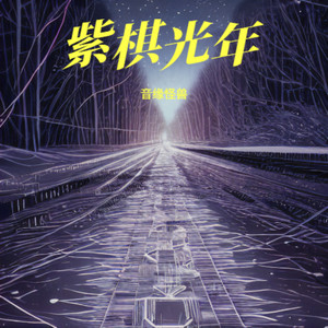 紫棋光年