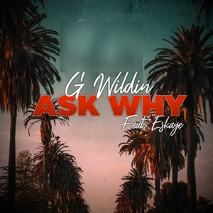 Ask Why (Explicit)