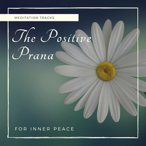 The Positive Prana - Meditation Tracks For Inner Peace