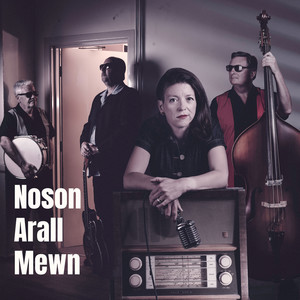 Noson Arall Mewn