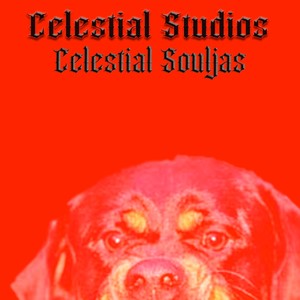 Celestial Souljas [Bonus Track] (feat. JR Scoop, NR Cliff, Capalot & 50k) (Explicit)