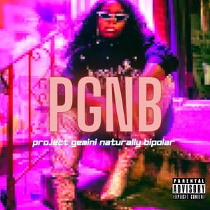 PGNB (Explicit)