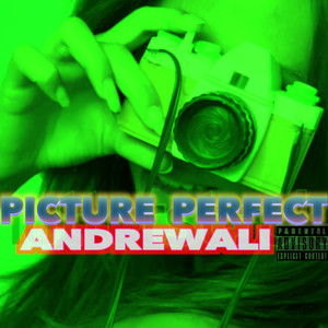 Picture Perfect (Explicit)