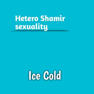 Hetero Shamir Sexuality