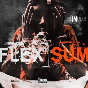 Flex Sum (Explicit)