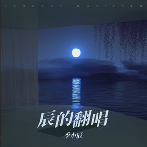 季小辰 - 泪桥