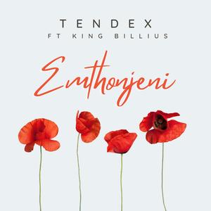 Emthonjeni (feat. Tendex & King Billius)