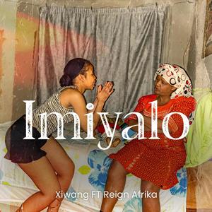 Imiyalo (feat. Reign Afrika)