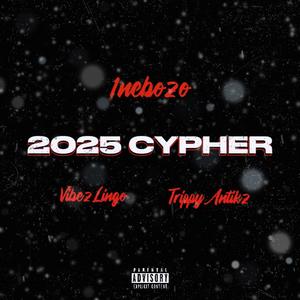 2025 Cypher (feat. Vibez Lingo & TrippyAntikz) [Explicit]