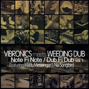 Note Fi Note / Dub Fi Dub, Vol. 1