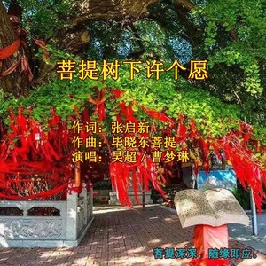 毕晓东菩提 - Ficus religosa