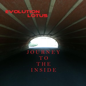 Journey to the Inside