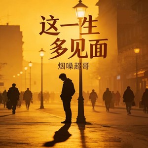 这一生 多见面封面
