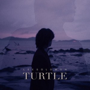 거북이 (Turtle)