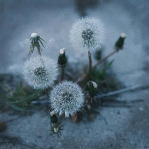 mind games (feat. Wishlyst)