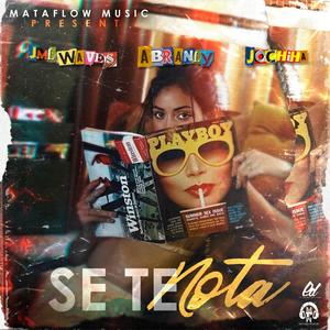 Se Te Nota (feat. Jml Waves & Jochiha)