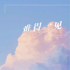 难得一见 (男声版)封面