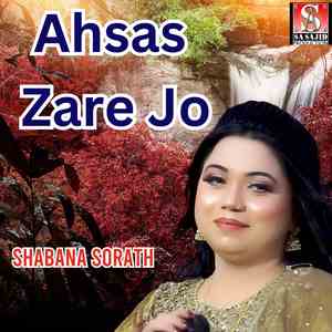 Ahsas Zare Jo