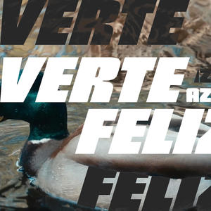 Verte Feliz (Explicit)