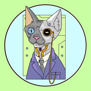 Jay Cara - Up and Down