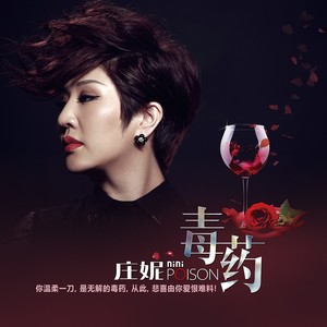 庄妮 - 毒药 (DJ何鹏版)